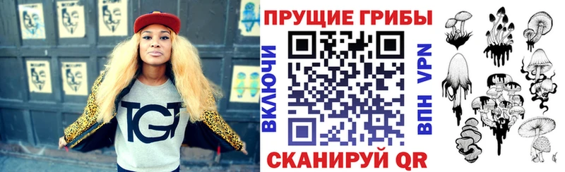 Галлюциногенные грибы Psilocybine cubensis  Купить где  Опочка 
